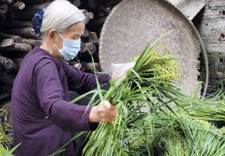 Làng cốm Mễ Trì sôi động trở lại sau giãn cách