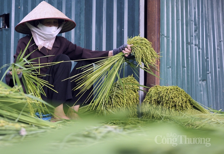 Làng cốm Mễ Trì sôi động trở lại sau giãn cách