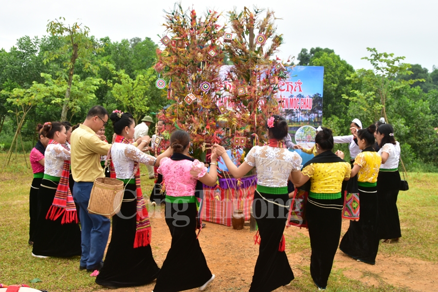 dai doan ket cac dan toc di san van hoa viet nam