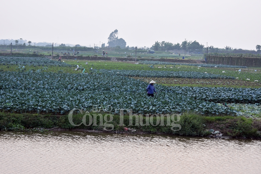 khoac ao moi cho lang chu xa