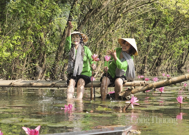 Bình yên suối Yến mùa hoa súng