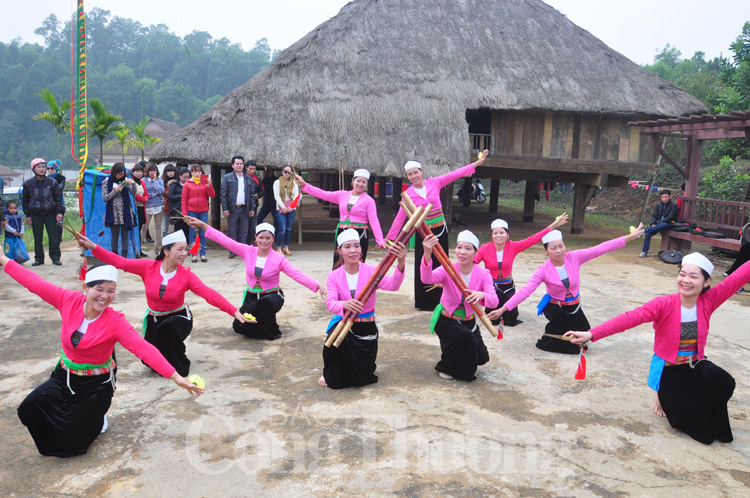 Ngày hội 