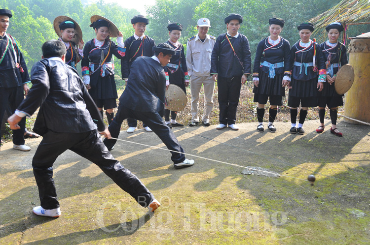 Ngày hội 