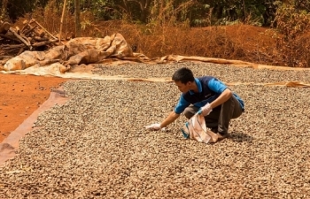 co hoi rong mo cho cac doanh nghiep viet nam tai thi truong trung dong va chau phi