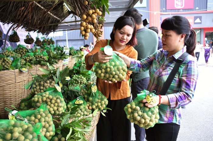 Hưng Yên: Đẩy mạnh tiêu thụ sản phẩm thế mạnh