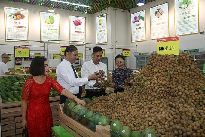 xuat khau xoai son la tang manh