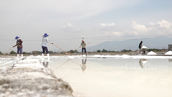 ninh thuan man moi nghe muoi