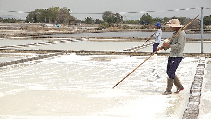 ninh thuan man moi nghe muoi