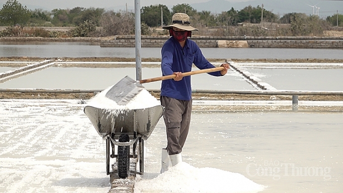 ninh thuan man moi nghe muoi