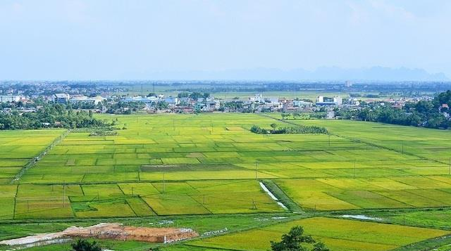 Hội nghị Trung ương 5 khoá XIII: Kỳ vọng Dự thảo nghị quyết mới về vấn đề đất đai