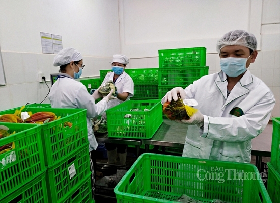bo cong thuong ket noi doanh nghiep kich cau tieu dung noi dia