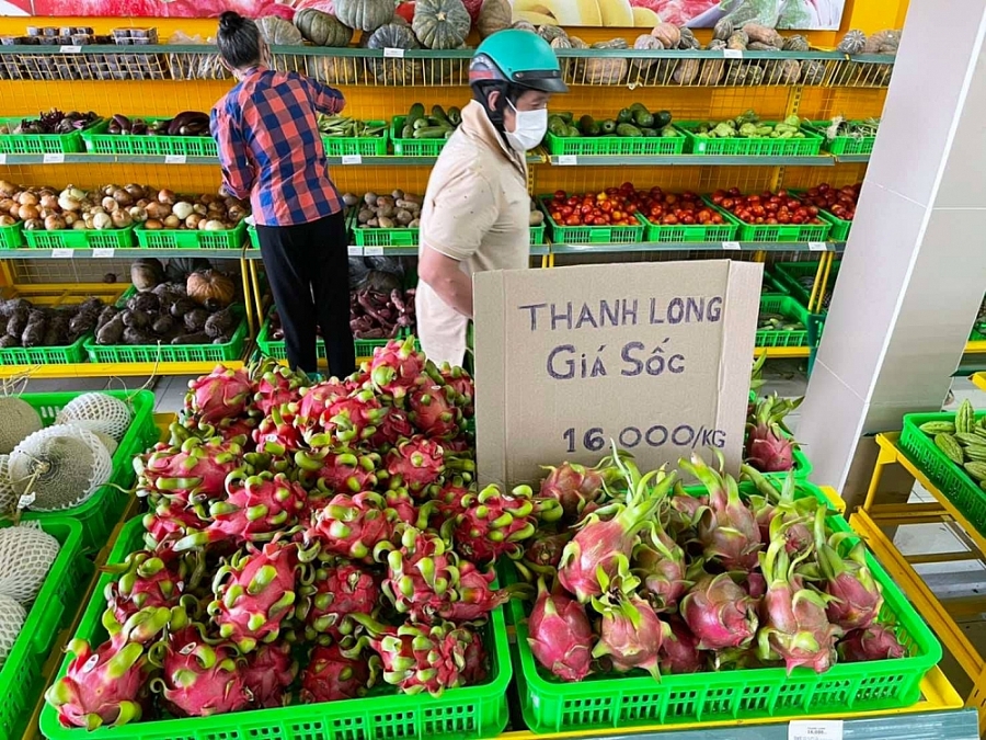 Bách Hóa Xanh đang bán thanh long với giá 16,000 đồng/kg