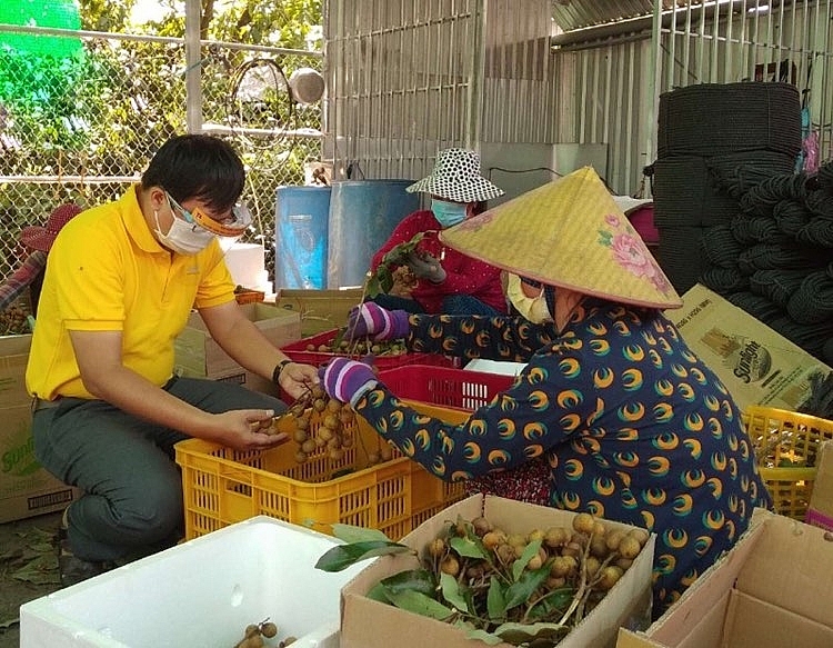 Mở rộng kênh tiêu thụ nông sản qua “cánh tay nối dài” của bưu điện