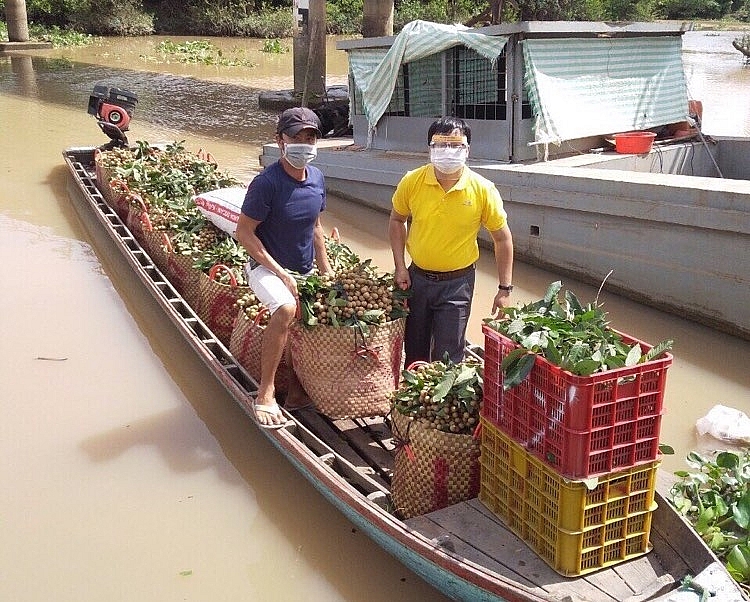 Mở rộng kênh tiêu thụ nông sản qua “cánh tay nối dài” của bưu điện