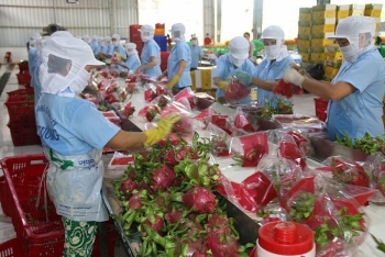 Bộ trưởng Trần Tuấn Anh: “Ra biển lớn, phải chấp nhận luật chơi chung”