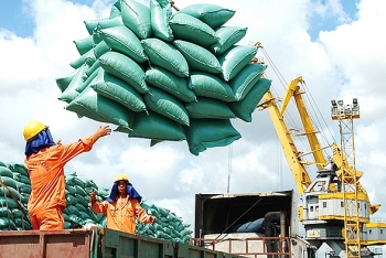 Giá gạo xuất khẩu Việt Nam tăng vọt, vượt Thái Lan và Ấn Độ