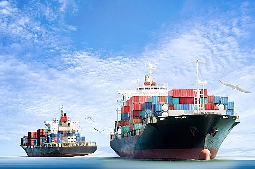 kiem tra gia van chuyen container cua mot so hang tau ngoai