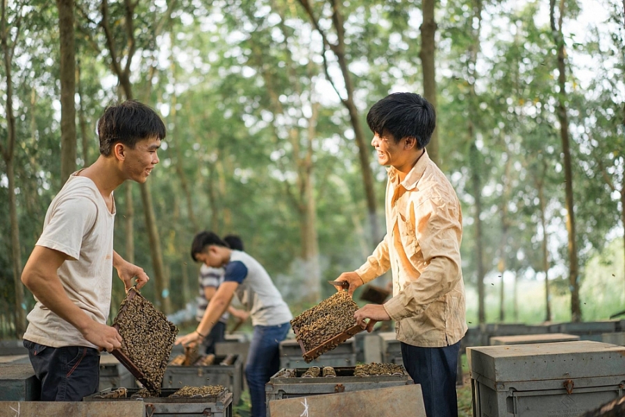 Khai thác tiềm năng thị trường Bắc Âu