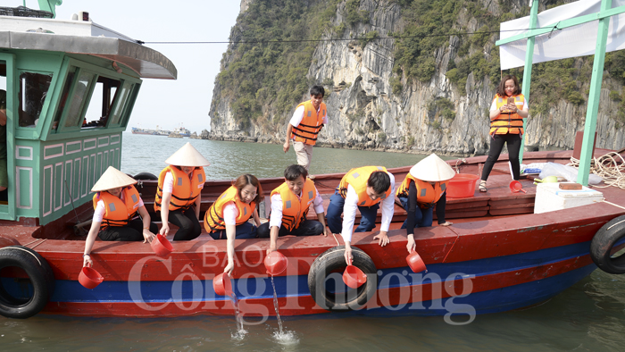 Quảng Ninh- Thả cá hưởng ứng phong trào bảo vệ nguồn lợi thủy sản
