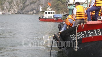 quang ninh tha ca huong ung phong trao bao ve nguon loi thuy san