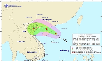 Quảng Ninh khẩn cấp ứng phó với bão số 3