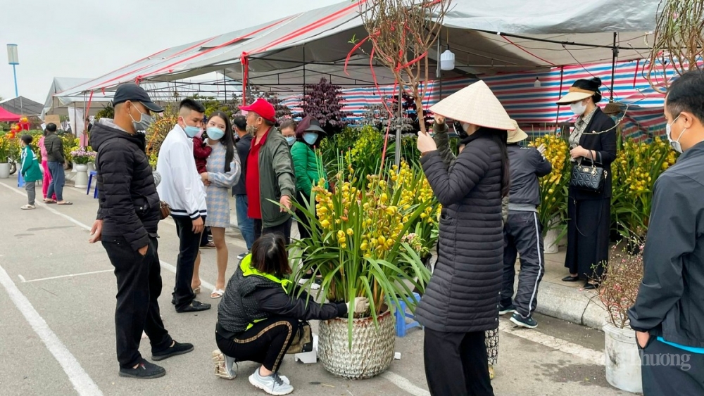 Nhộn nhịp chợ hoa Tết tại Tp.Hạ Long (Quảng Ninh)