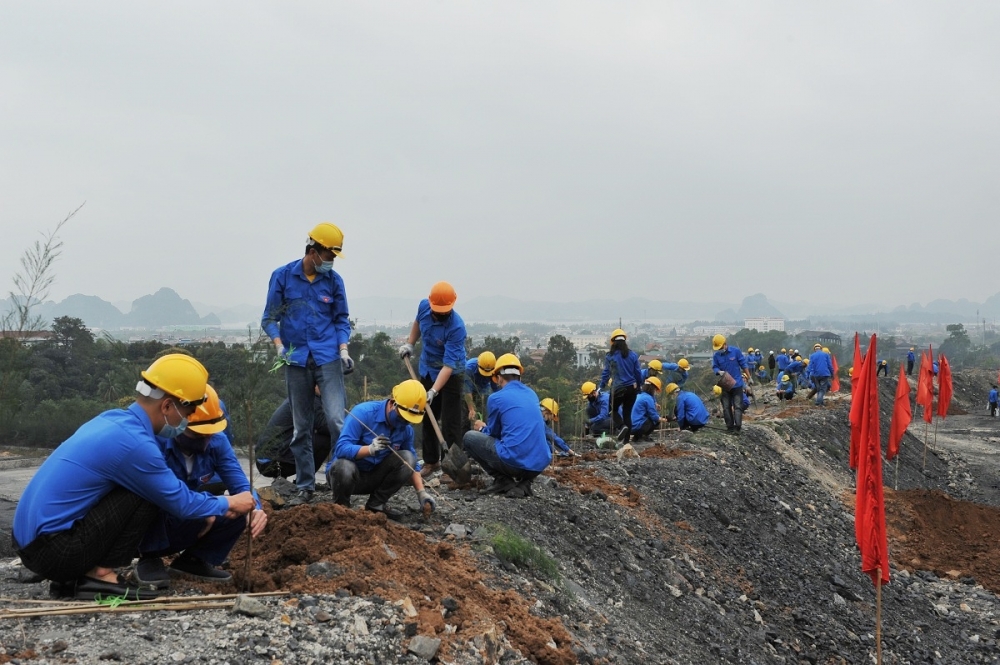 Đoàn viên thanh niên than Cọc Sáu tham gia trồng cây bảo vệ môi trường