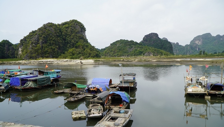 quang ninh tang cuong cong tac bao ve nguon loi thuy san