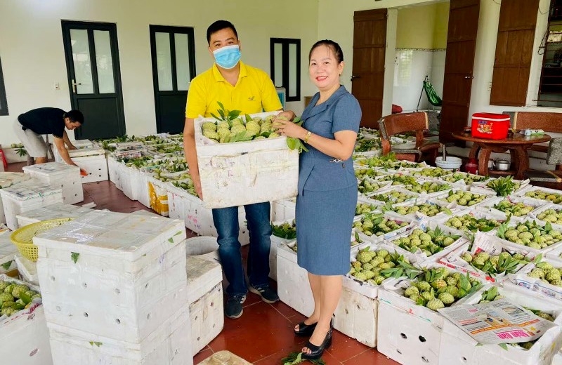  nhiều giải pháp linh hoạt để thúc đẩy tiêu thụ và tạo cho na dai những con đường xuất bán mới