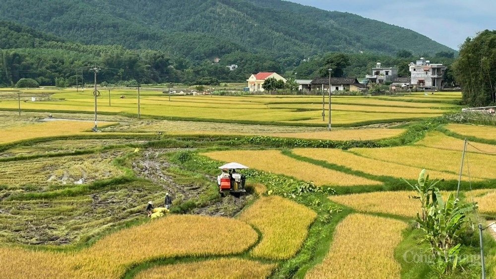 Thông qua chương trình nông thôn mới, kinh tế tại huyện Bình Liêu (tỉnh Quảng Ninh) ngày càng phát triển