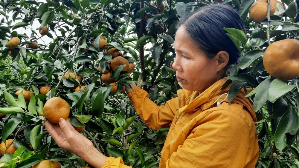 Chương trình nông thôn mới đã góp phầ nâng cao đời sống của người dân, đặc biệt ở các vùng sâu, vùng xa