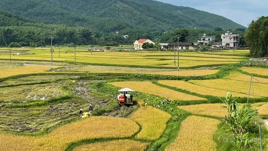 Đẩy mạnh xây dựng nông thôn mới tại Quảng Ninh