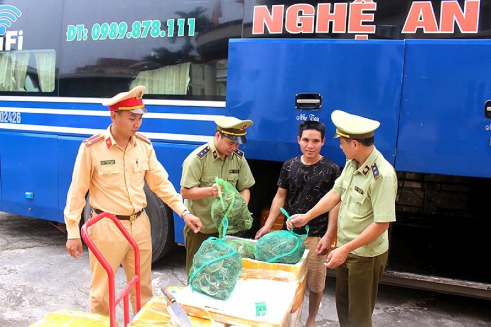 Quảng Ninh: Phát hiện 200kg cua lông không rõ nguồn gốc