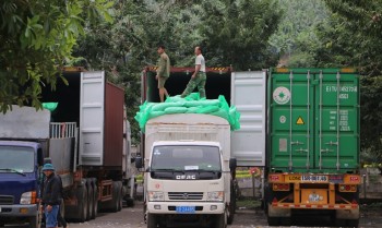 Lấy ý kiến về Luật Quản lý ngoại thương