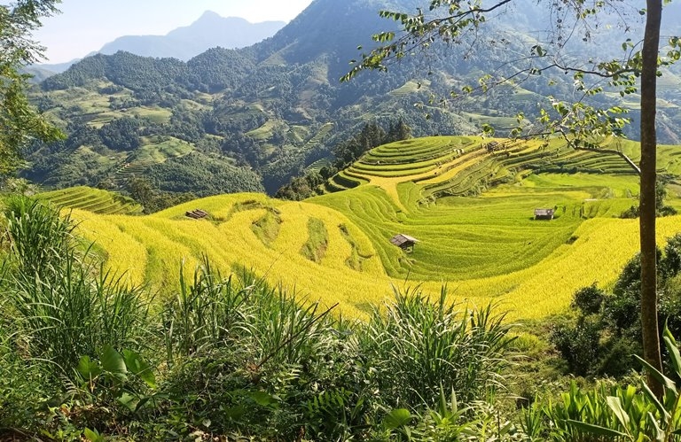 Hoàng Su Phì: Gắn kết giá trị văn hóa, du lịch và nông nghiệp để phát triển bền vững