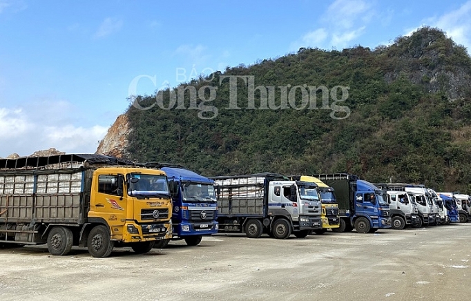thong duong xuat khau nong san ngay tu dau nam