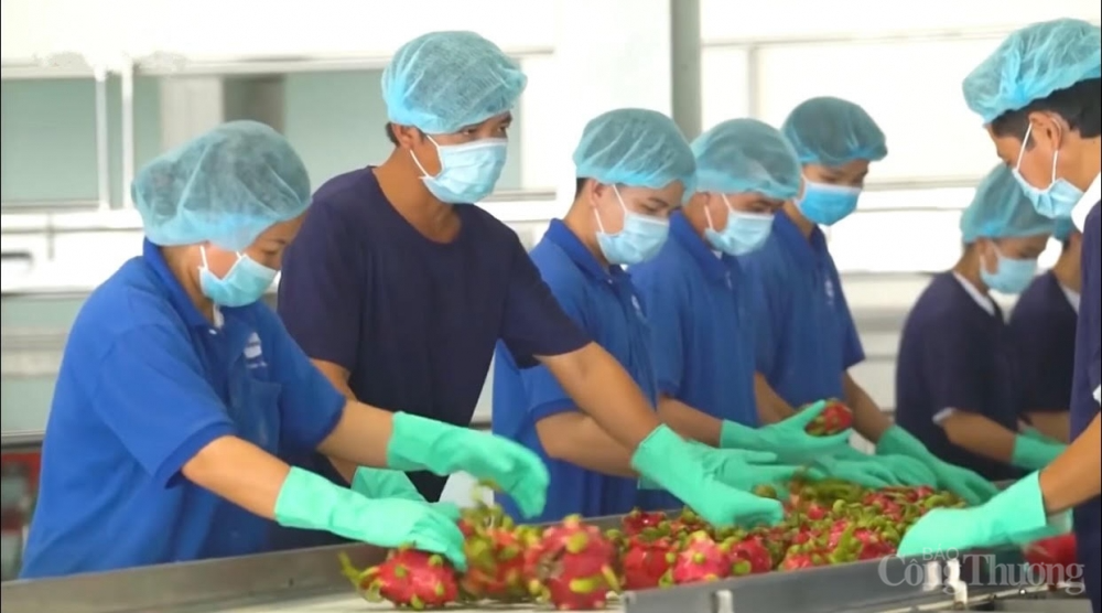 Công nghiệp chế biến nông sản: Cần đẩy mạnh ứng dụng, chuyển giao công nghệ