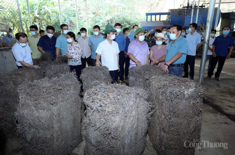 Đẩy nhanh các nguồn lực phát triển kinh tế vùng dân tộc thiểu số và miền núi