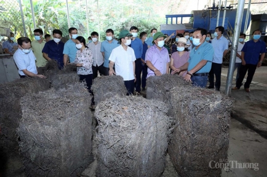 Đẩy nhanh các nguồn lực phát triển kinh tế - xã hội vùng dân tộc thiểu số và miền núi