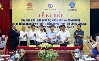 xay dung va quan ly chi dan dia ly nang gia tri cho hang hoa viet nam