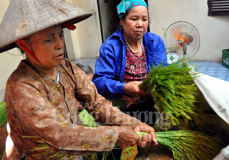 Nồng nàn hương cốm Mễ Trì