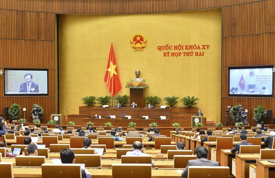 so huu tri tue bao dam thi hanh day du va nghiem tuc cac cam ket quoc te