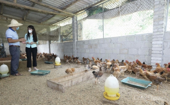 lang son muc tieu den nam 2030 khong con huyen ngheo xa dac biet kho khan