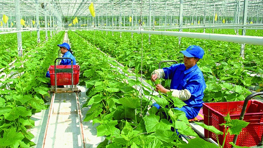 Thanh Hóa: Giao Sở Công Thương là Cơ quan Thường trực Ban Chỉ đạo kết nối cung cầu sản phẩm nông nghiệp