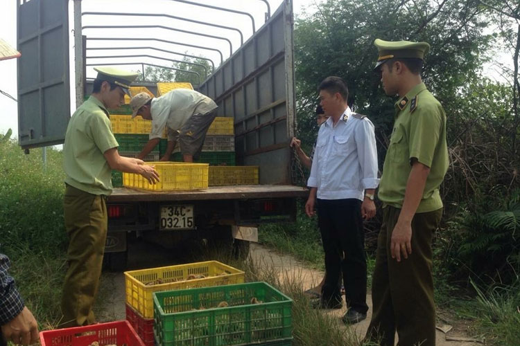 Móng Cái: Tăng cường kiểm soát thị trường cuối năm