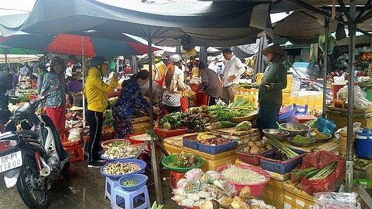 anh huong bao so 1 gia rau cu tai phu quoc tang manh