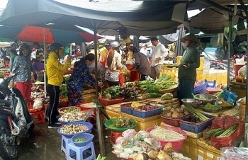 anh huong bao so 1 gia rau cu tai phu quoc tang manh