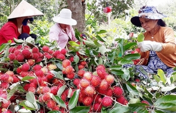 Cánh tay nối dài của nông dân