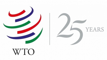 nhin lai di san va buoc ngoat doi voi wto sau mot phan tu the ky