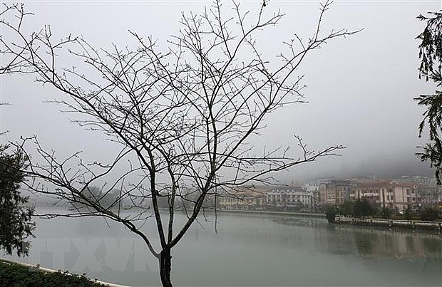 mung 1 tet mien bac ret dam vung nui xuat hien bang gia